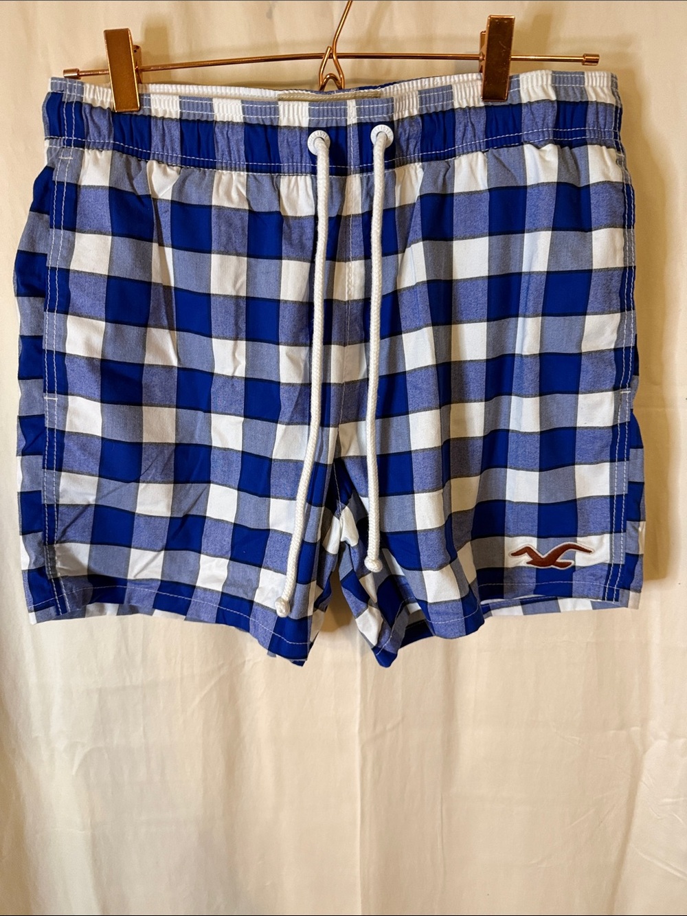 Hollister Blue and White Gingham Swim Trunks